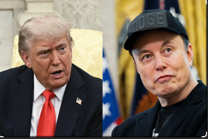 trum and musk